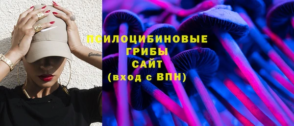 ECSTASY Алзамай