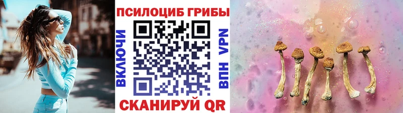 Галлюциногенные грибы Cubensis  где купить наркоту  кракен зеркало  Азнакаево 